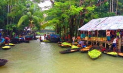 ঘুরে আসতে পারেন ঝালকাঠি জেলার ভিমরুলি ভাসমান পেয়ারার হাট