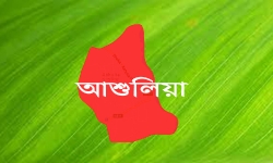 আশুলিয়ায় অগ্নিকাণ্ডে শিশুসহ পরিবারের চারজন দগ্ধ